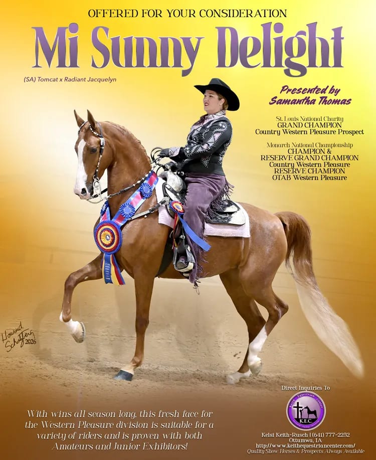 Mi Sunny Delight — photo 1 of 7