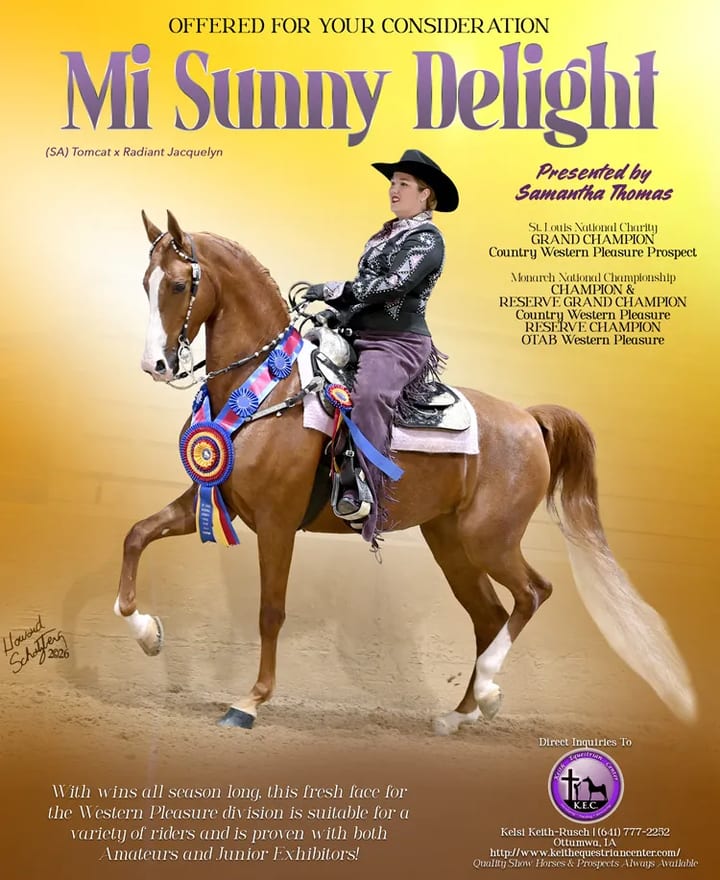 Mi Sunny Delight
